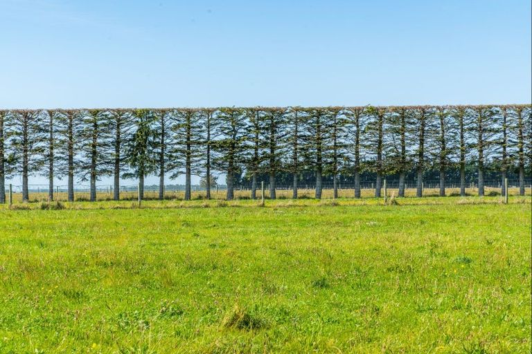 Photo of property in 286 Mitcham Road, Mitcham, Ashburton, 7772