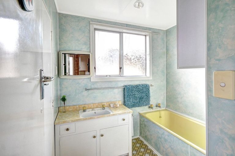 Photo of property in 17 Johnson Street, Milton, 9220