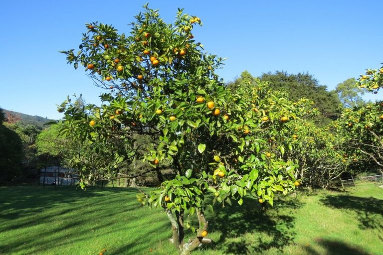 Photo of property in 30 Colville Road, Coromandel, 3506