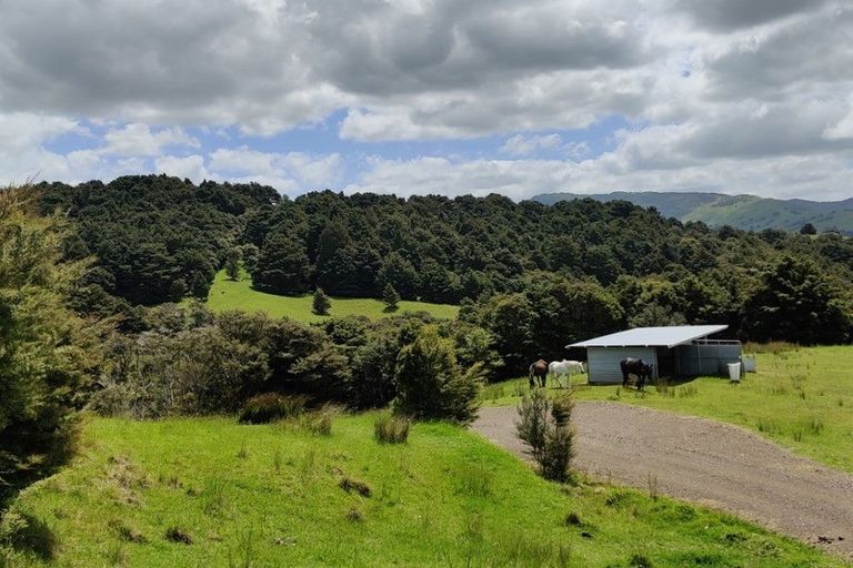 Photo of property in 341 Irvine Road, Purua, Whangarei, 0176