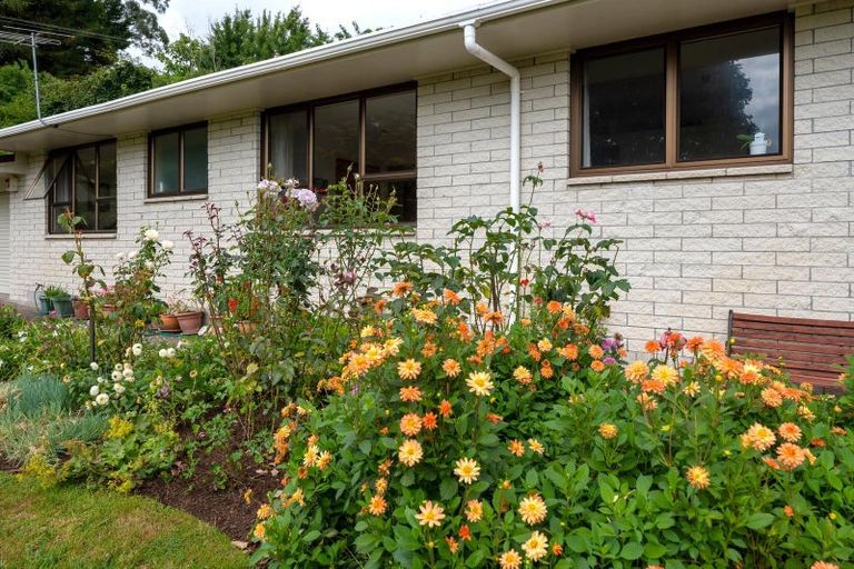 Photo of property in 1163 Paradise Valley Road, Ngongotaha Valley, Rotorua, 3072