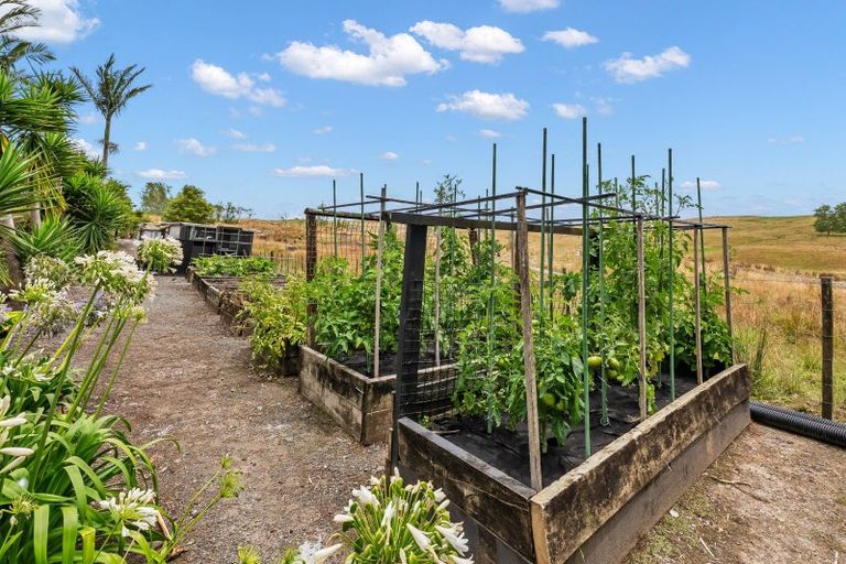 Photo of property in 50 Stunnell Road, Otaika, Whangarei, 0170