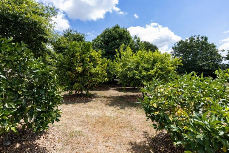 Photo of property in 11 Sanctuary Lane, Tamahere, Hamilton, 3283