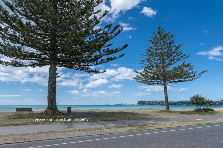 Photo of property in 38a The Esplanade, Westshore, Napier, 4110