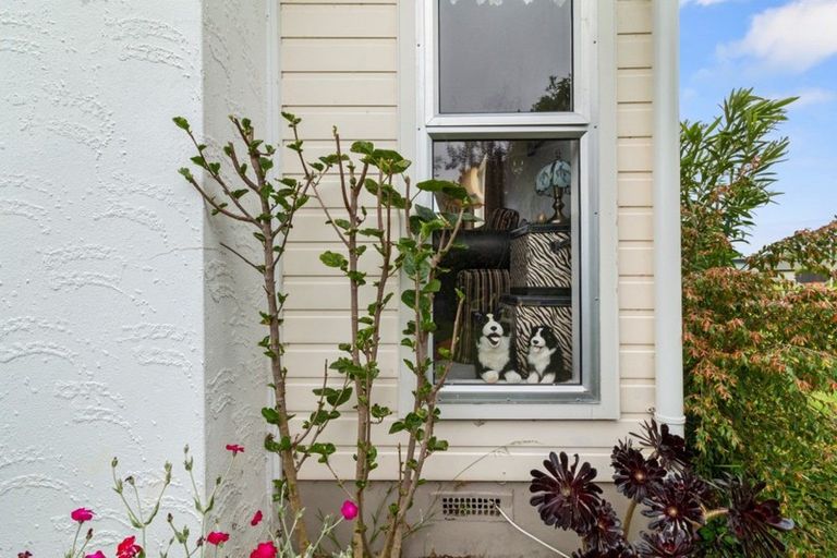 Photo of property in 19 Churchill Avenue, Te Aroha, 3320