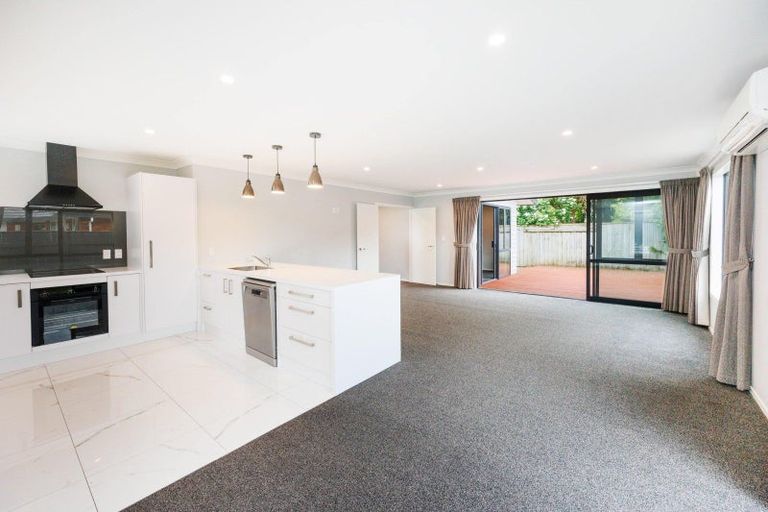 Photo of property in 40a Manawatu Street, Hokowhitu, Palmerston North, 4410