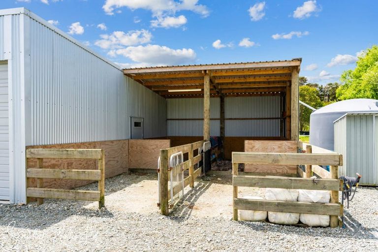 Photo of property in 26 Brynderwyn Road, Brynderwyn, Maungaturoto, 0587