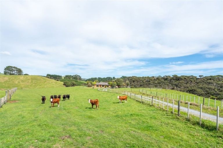 Photo of property in 94 Oaia Road, Muriwai, Waimauku, 0881