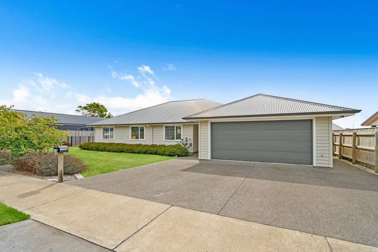 Photo of property in 49 Gimson Street, Solway, Masterton, 5810