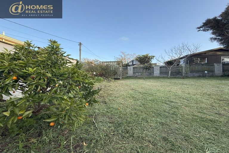 Photo of property in 14 Riverview Road, New Lynn, Auckland, 0600