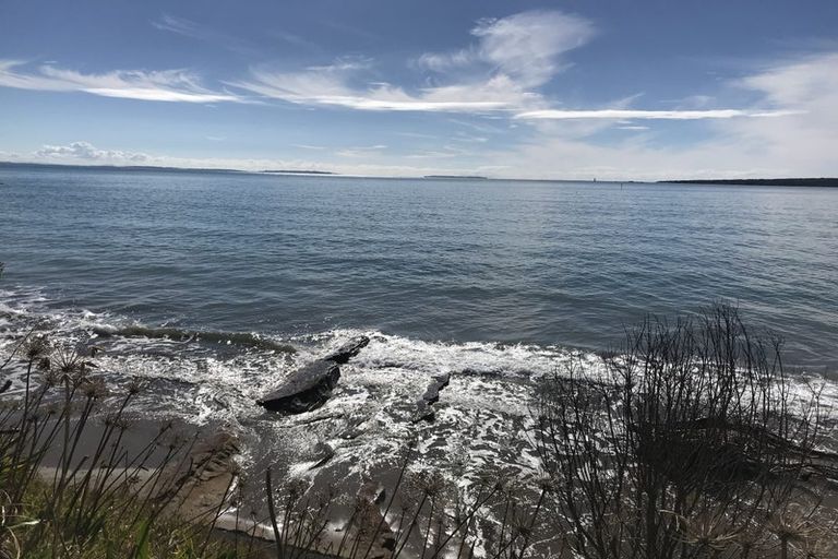 Photo of property in 15 Old Lake Road, Narrow Neck, Auckland, 0624