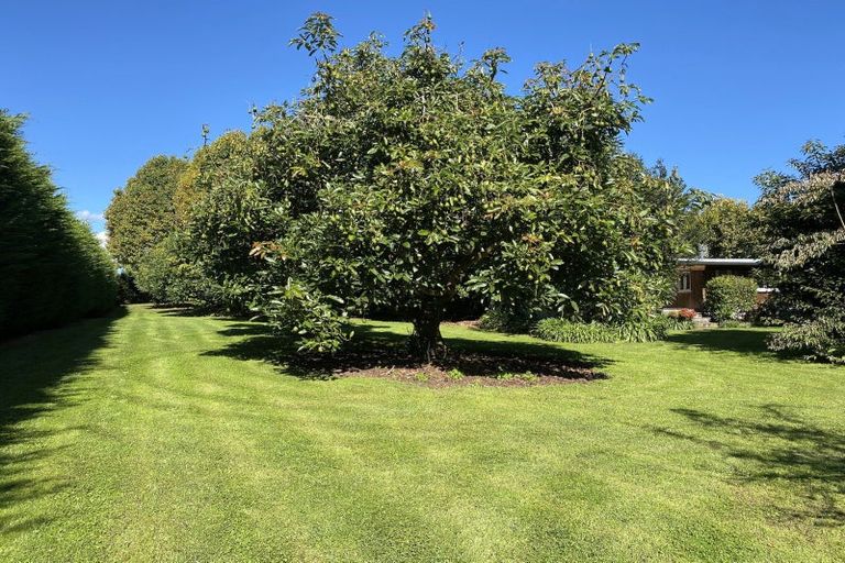 Photo of property in 356 Belk Road, Omanawa, Tauranga, 3171