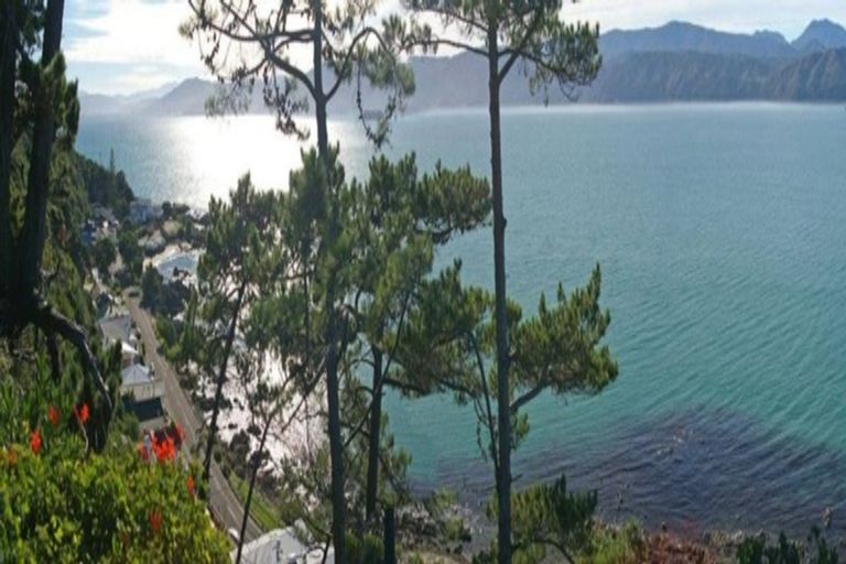 Photo of property in 81 Awa Road, Seatoun, Wellington, 6022