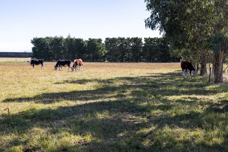 Photo of property in 1070 Grahams Road, Ashton, Ashburton, 7774