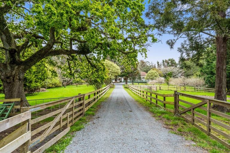 Photo of property in 46 Forest View Road, Te Kamo, Kamo, 0185