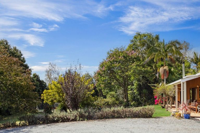 Photo of property in 49 Riddell Road, Kerikeri, 0230
