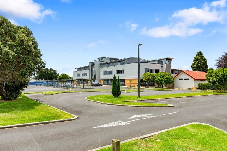 Photo of property in 39 Twentysecond Avenue, Gate Pa, Tauranga, 3112