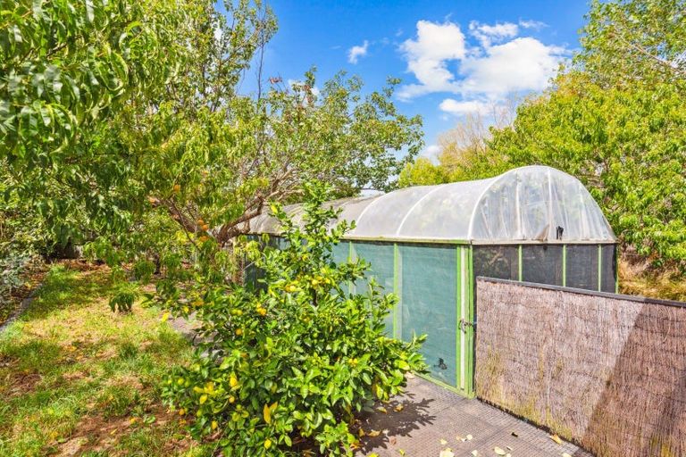 Photo of property in 53 Bruce Road, Levin, 5510