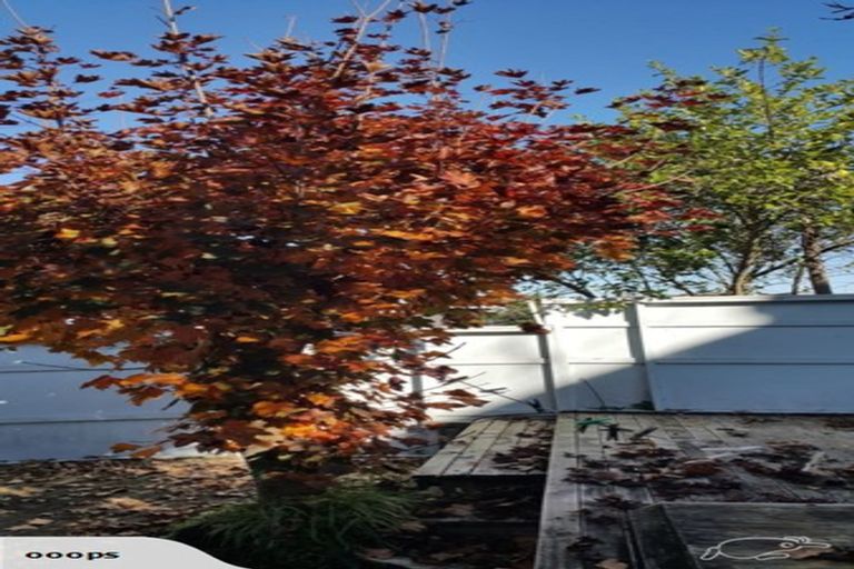 Photo of property in 9 Fowlers Avenue, Frankton, Hamilton, 3204