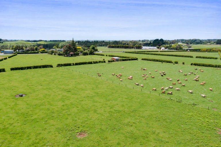 Photo of property in 156 Manutahi Road, Tarurutangi, New Plymouth, 4372