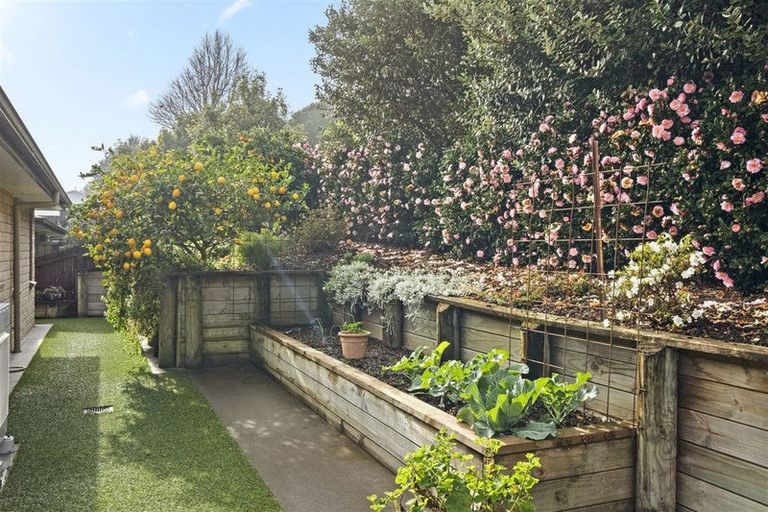 Photo of property in 19 Owens Road, Waiuku, 2123