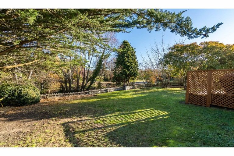 Photo of property in 16 Jones Street, Waikouaiti, 9510