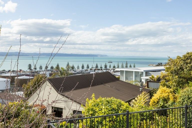 Photo of property in 123 Chaucer Road, Hospital Hill, Napier, 4110