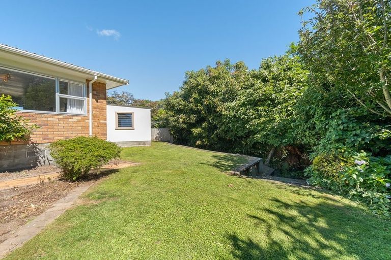Photo of property in 91 Manu Crescent, Upper Vogeltown, New Plymouth, 4310