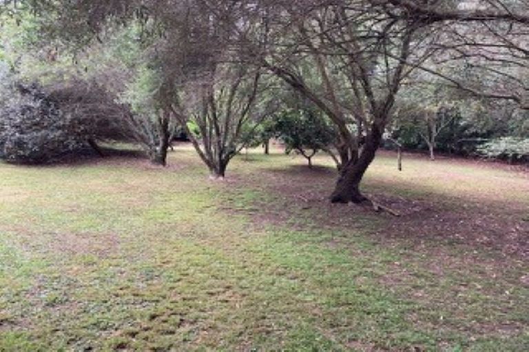 Photo of property in 11 Ron Wyatt Lane, Waiuku, 2123