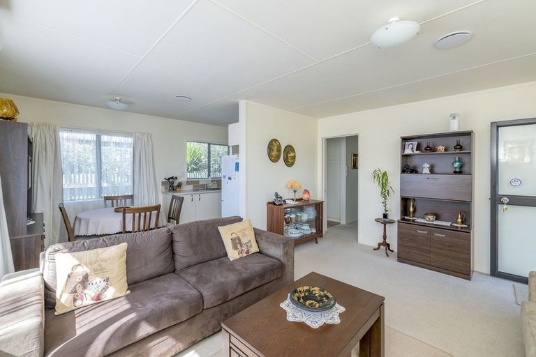 Photo of property in 15b Douglas Street, Levin, 5510