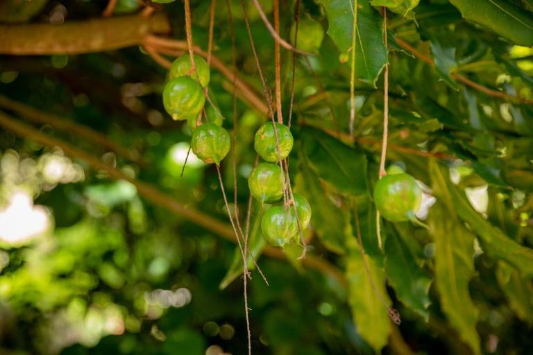 Photo of property in 827 No 1 Road, Te Ranga, Te Puke, 3182