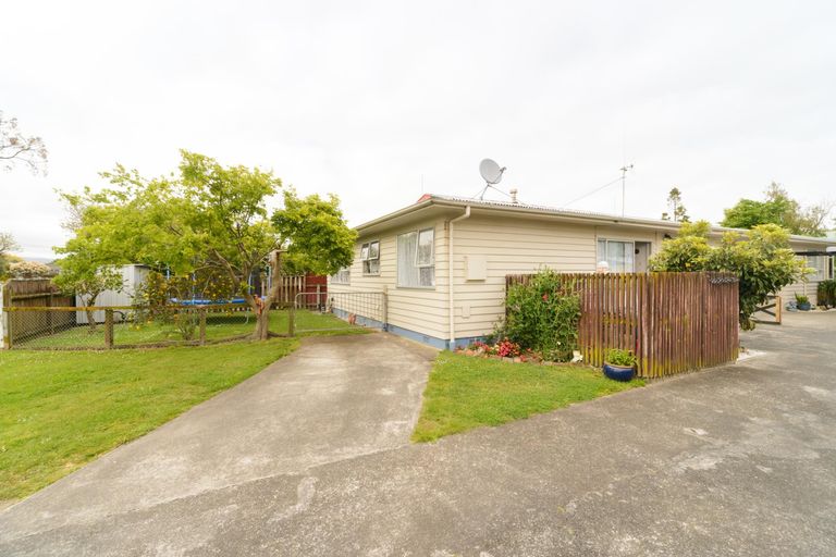 Photo of property in 46a Maxwells Line, Awapuni, Palmerston North, 4412