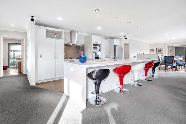 Photo of property in 141 Lowes Road, Rolleston, 7614