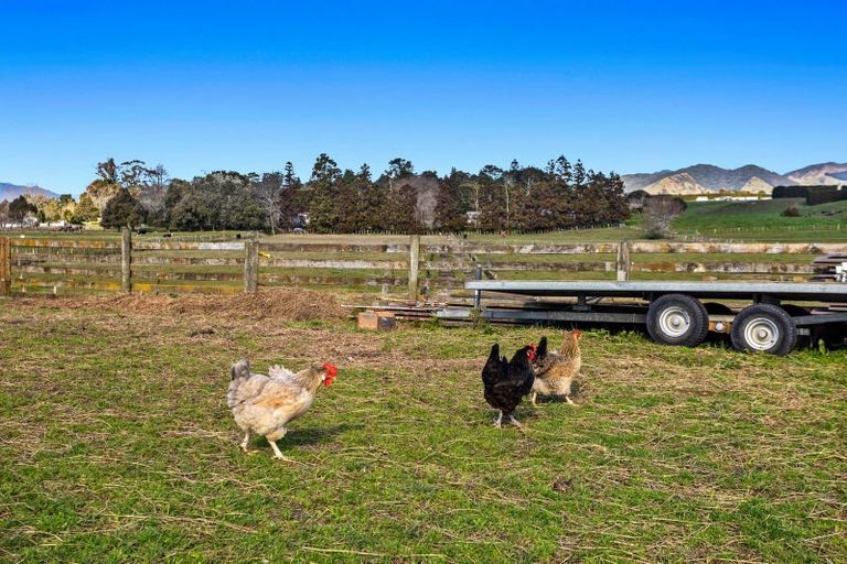 Photo of property in 27 Baird Road, Waiotahe, Opotiki, 3198