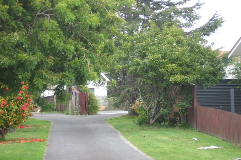 Photo of property in 56a Links Avenue, Mount Maunganui, 3116