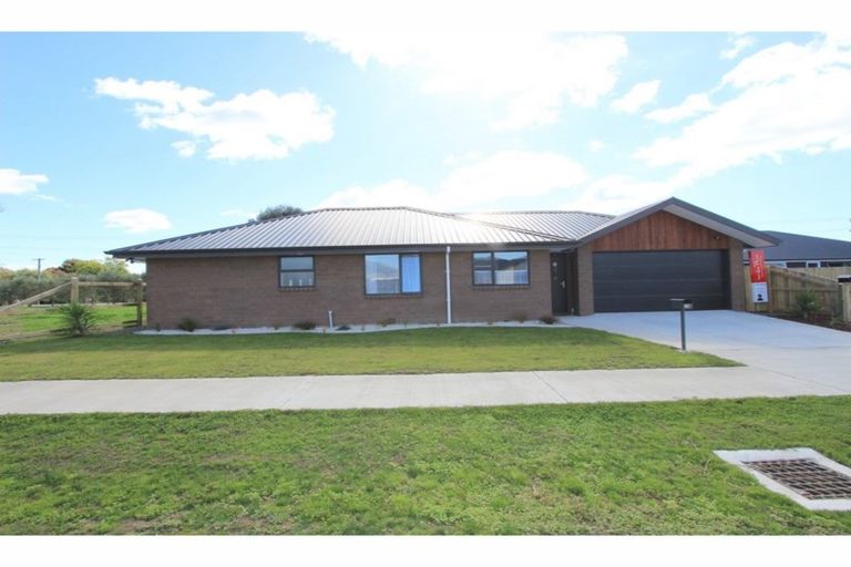 Photo of property in 18 Harvard Road, Burleigh, Blenheim, 7201