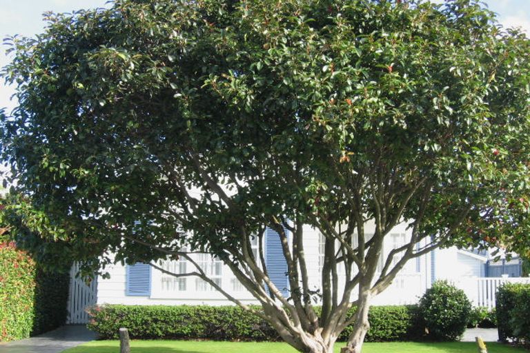 Photo of property in 22 Holyoake Crescent, Avalon, Lower Hutt, 5011