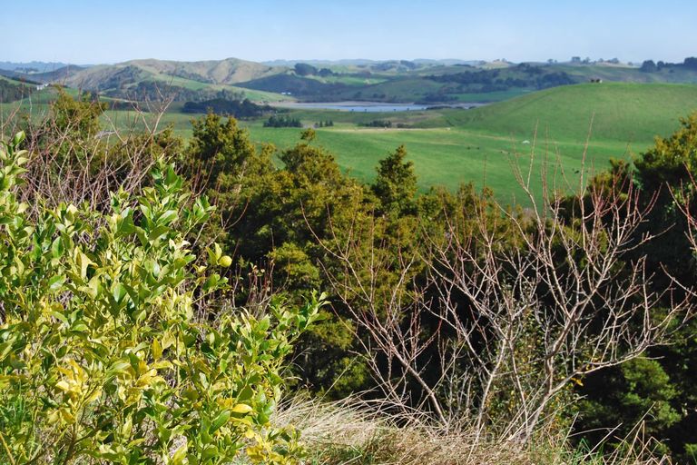 Photo of property in 542e Oneriri Road, Kaiwaka, 0573