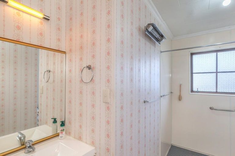 Photo of property in 102 Winchester Street, Levin, 5510