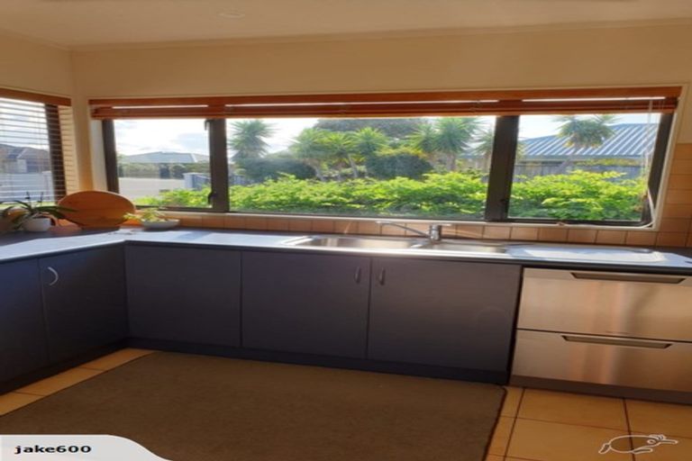 Photo of property in 16 Harris Place, Ngatea, 3503