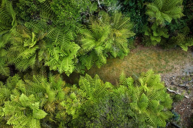 Photo of property in 183 Rangitane Road, Kerikeri, 0294