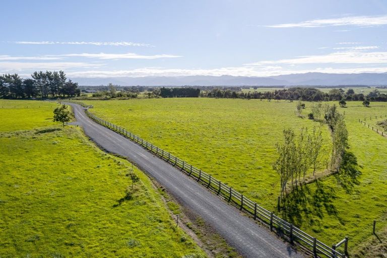 Photo of property in 50 Phelps Way, Morison Bush, 5794