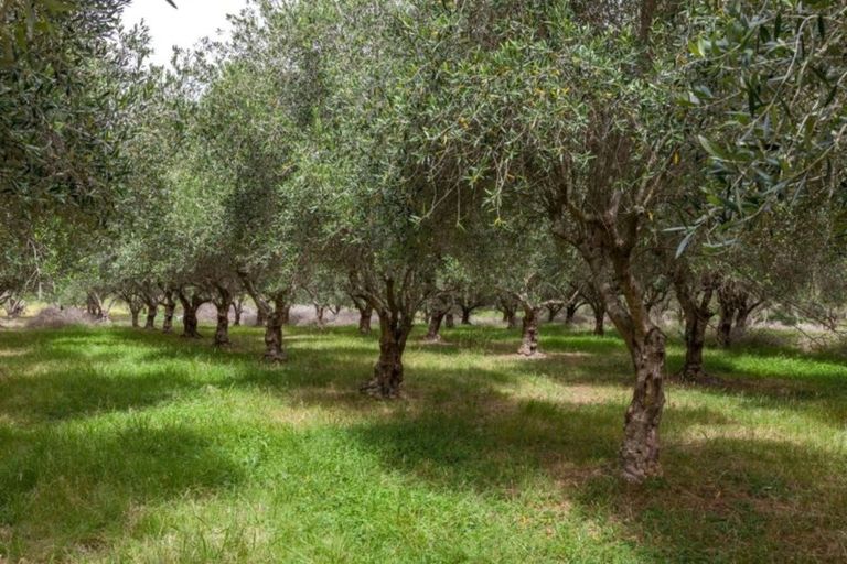 Photo of property in 7 Harding Road, Wellsford, 0972