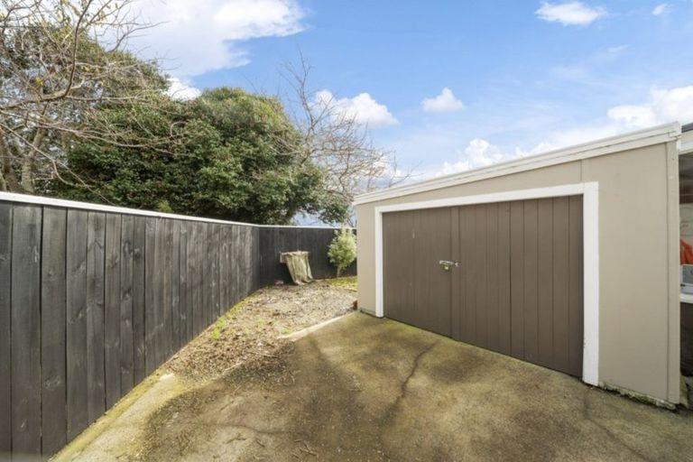 Photo of property in 17 Clyde Street, Ferndale, New Plymouth, 4310