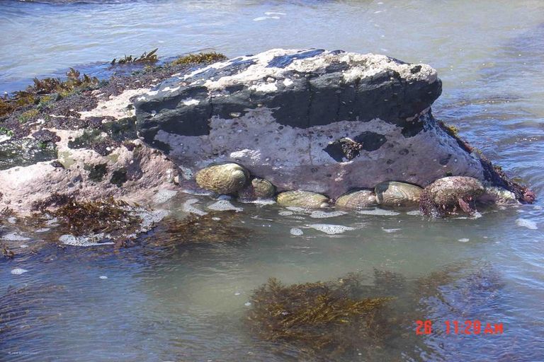 Photo of property in 1 Nunu Drive, Flat Point, Masterton, 5883