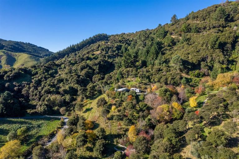 Photo of property in 53a Hillwood Drive, Wakapuaka, Nelson, 7071