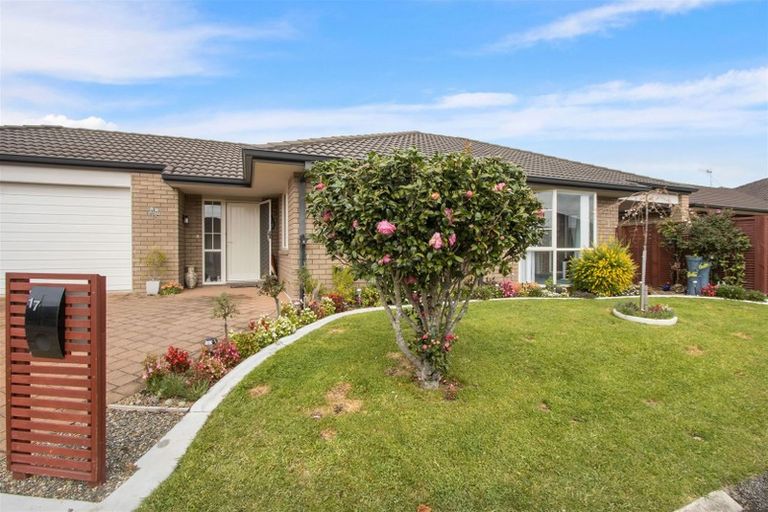 Photo of property in 17 Cresta Drive, Katikati, 3129