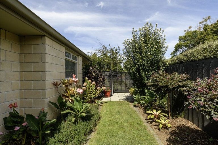 Photo of property in 60 Chater Avenue, Bethlehem, Tauranga, 3110