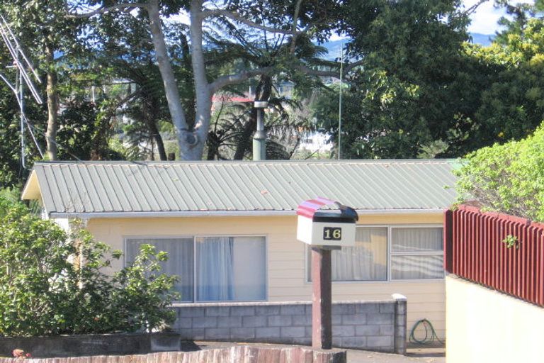Photo of property in 16 Beaufort Avenue, Brookfield, Tauranga, 3110