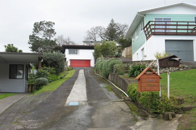 Photo of property in 107 Brunton Crescent, Thames, 3500